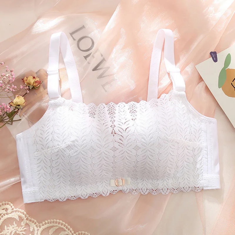 Sexy Breathable Girl Underwear Gathered Soft and No Steel Ring Bra Thin Lace Small Chest Simple Tube Top Wrapped Chest