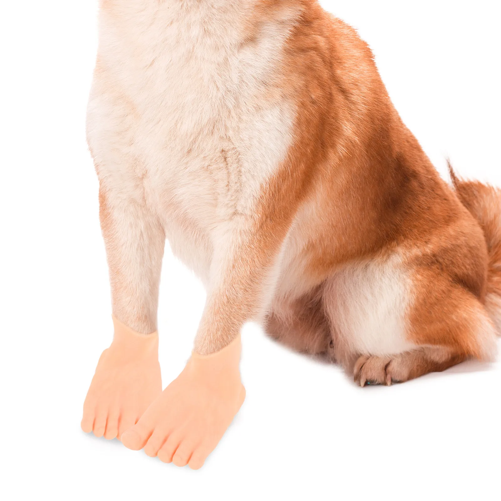 

2Pairs Creative Dog Fake Foot Covers Stretchable High Elasticity Simulation Human Foot Pet Interaction Exercise Prank Indoor