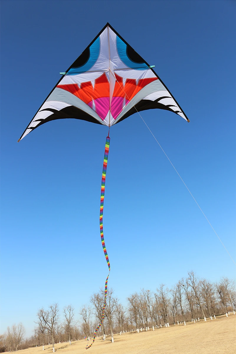 จัดส่งฟรี shark kites บินสําหรับผู้ใหญ่ kites line delta kites โรงงาน windsurf บินของเล่นอุปกรณ์เสริมสําหรับตกปลา Kite reel