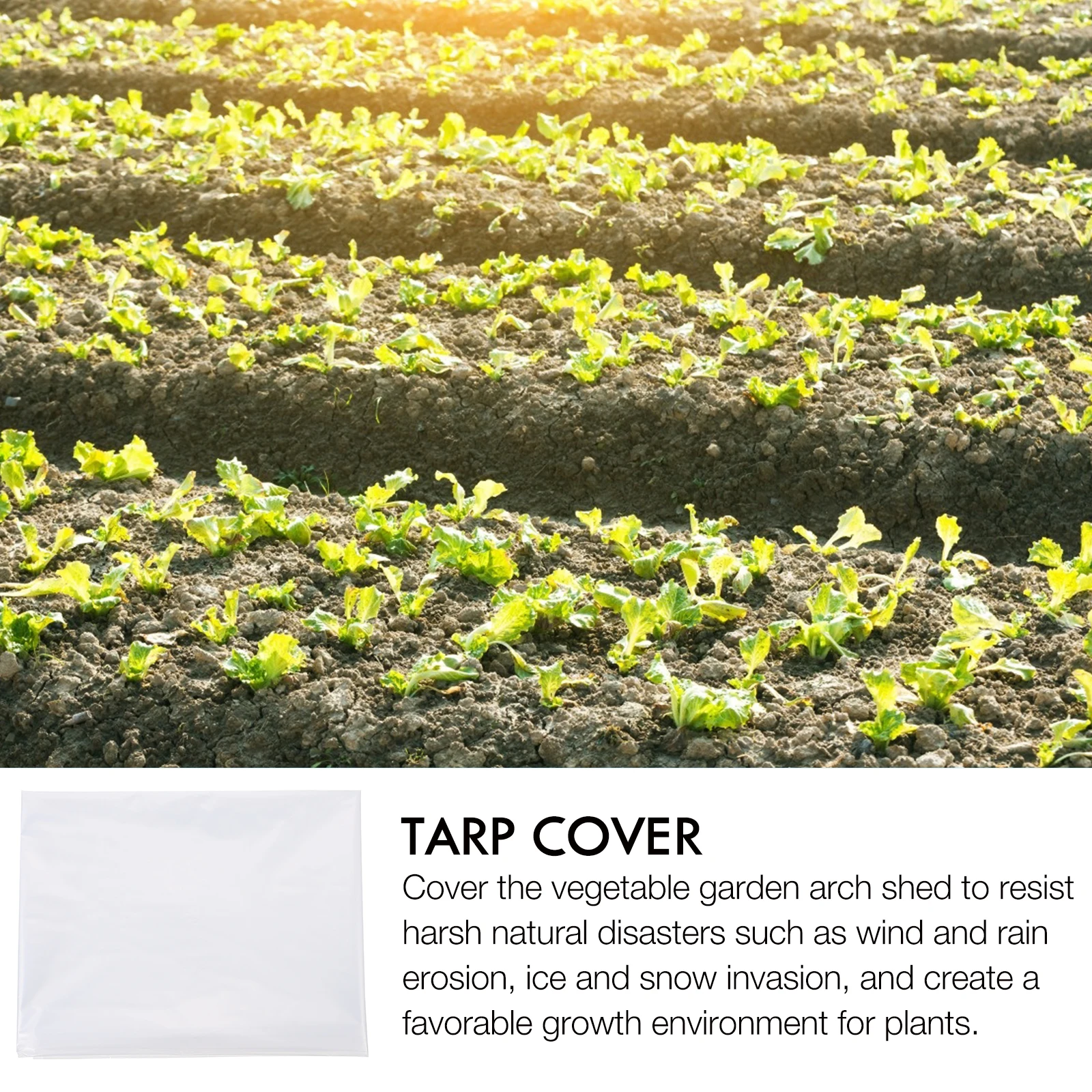 

Pe Tarp Transparent Garden Canopy Cover For Plant Protection Winter Frost Resistant Waterproof Uv Stable Multipurpose