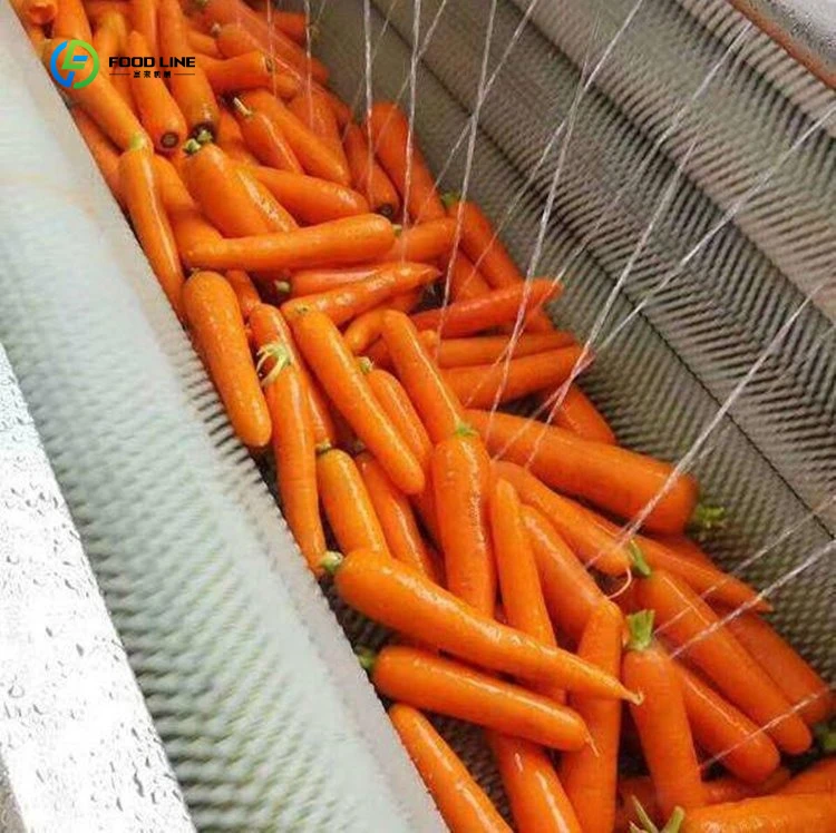 High Quality Stainless Steel Washing Machine Cheap Vegetables and Fruits Machine FL Customized