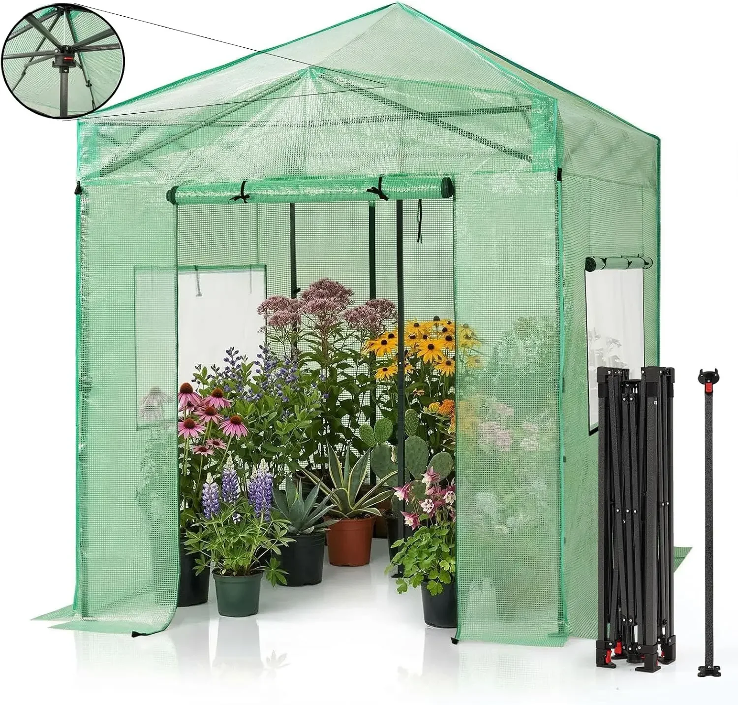 8x6 Walk-in Greenhouse,Pop Up Portable Greenhouse with Center Lock One Push Instant,Outdoor Greenhouse Kit with Roll-Up Door,Mes