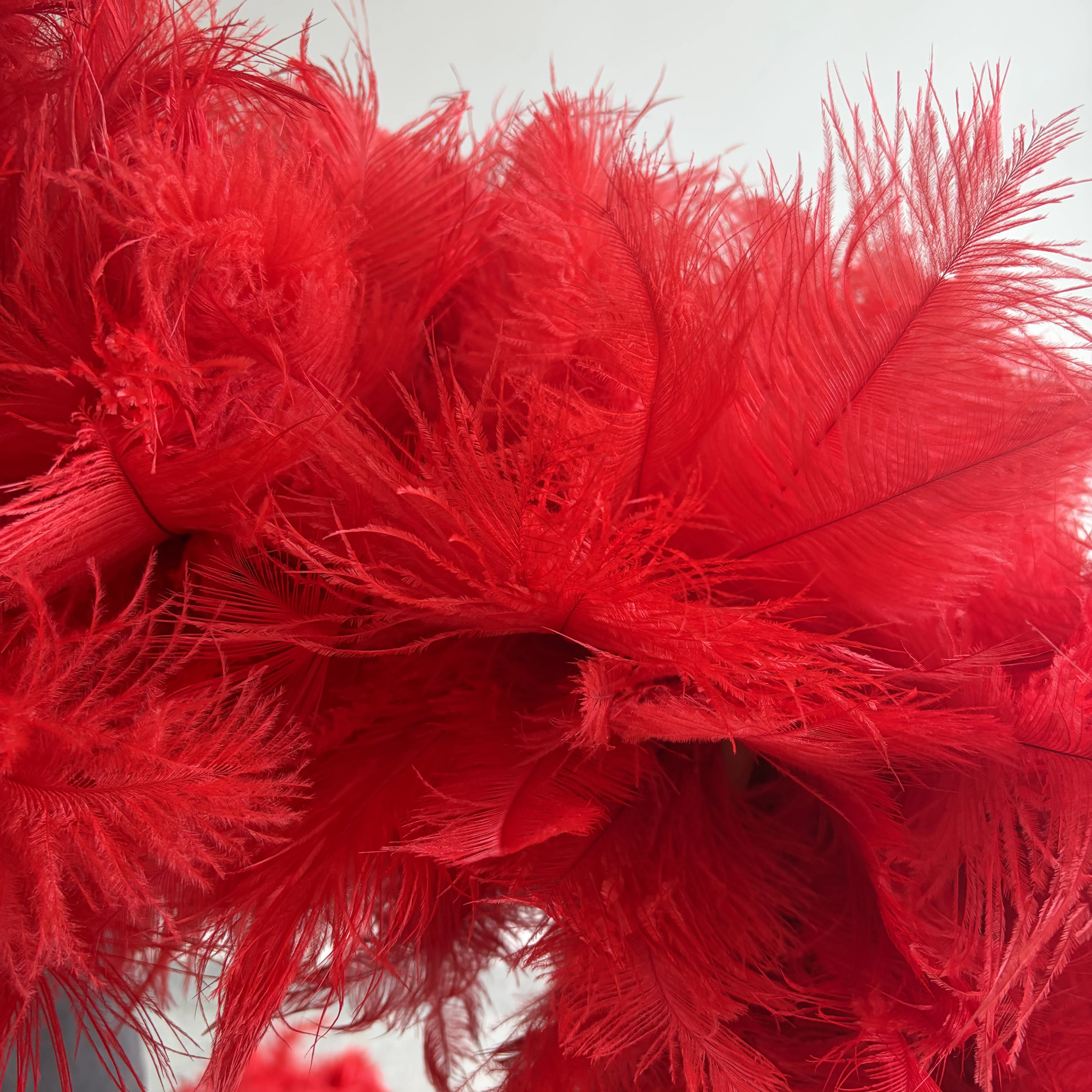 Ostrich Feather Boa Natural Red Fluffy 2 Yards Scarf DIY Sewing Trim Accessories for Wedding Party Cosplay Costume
