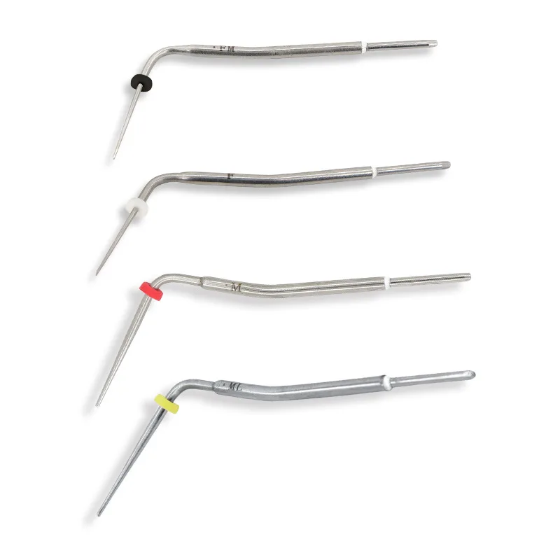 4Pcs Dentistry Endodontic Root Needles Heat Plunger Dentist Hot Melt Filling Heating Tip for Obturation Pen Dentist Accessories