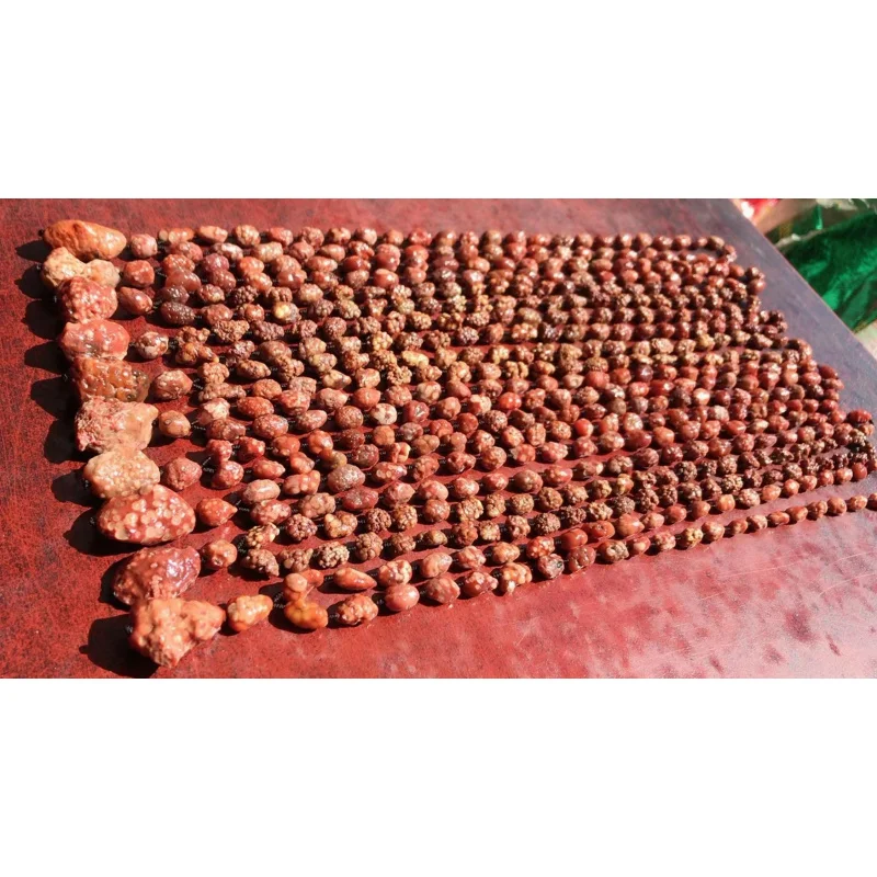 Alashan Gobi Rough Stone Red Fish Seed Necklace - view 4