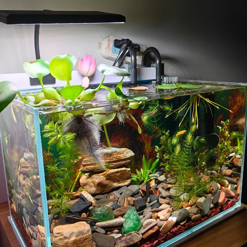 USB Aquarium LED Light Full Spectrum Aquatic Plant Grow Lamp Fish Tank Adjustable Brightness Dimmable 360° Rotatable Light 8W