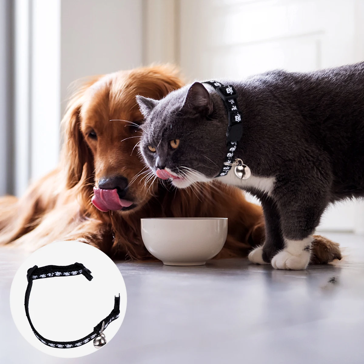 

Skull Dog Collars Stylish Puppy Halloween Pet Costume Crystal Design Bright Colors Soft Belt Safety Buckle Breathing Material