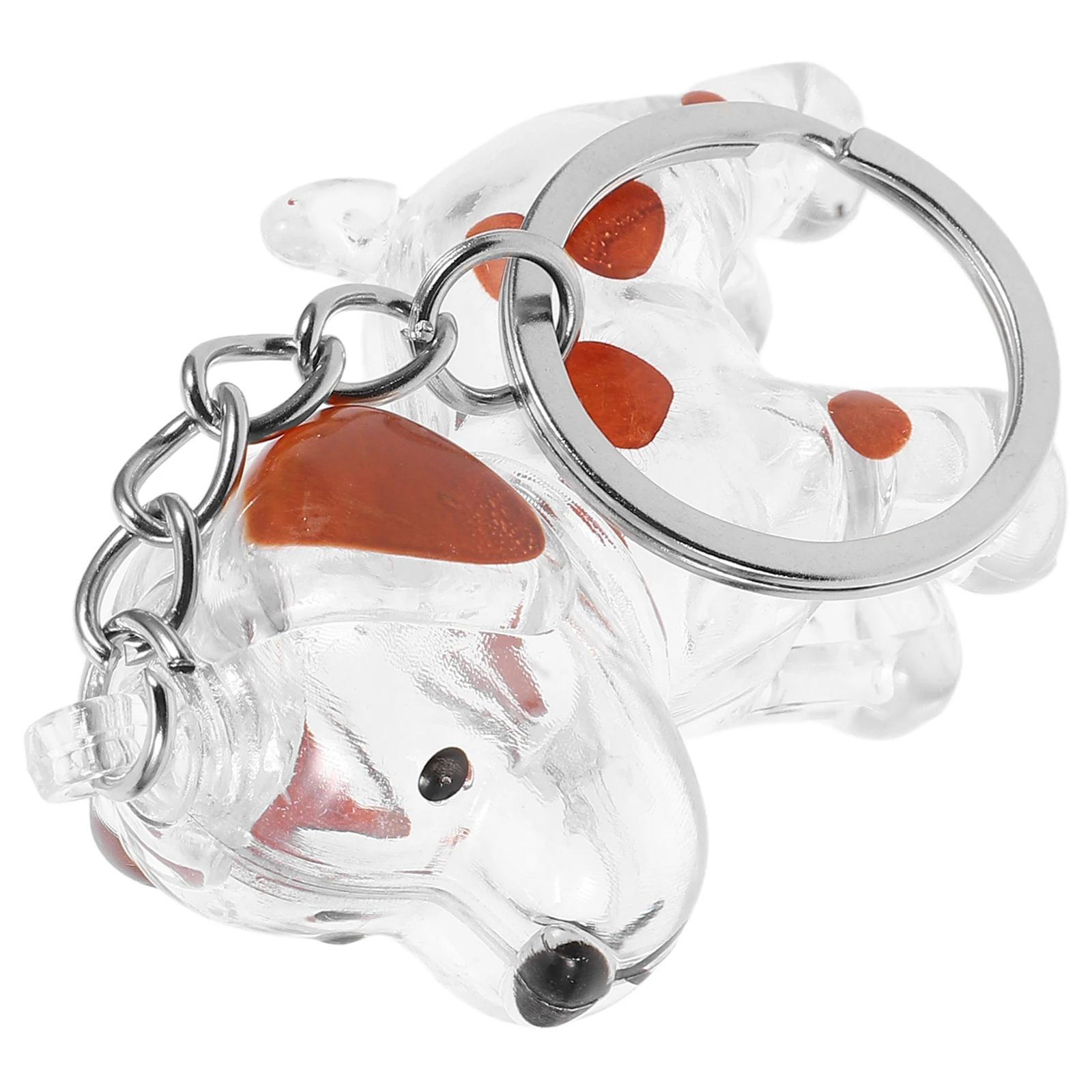

Pet Memorial Keychain Transparent Dog Holder Pendant Charm For Bag Keychain Keepsake Pet Storage Bottle Memorial Box Keepsake