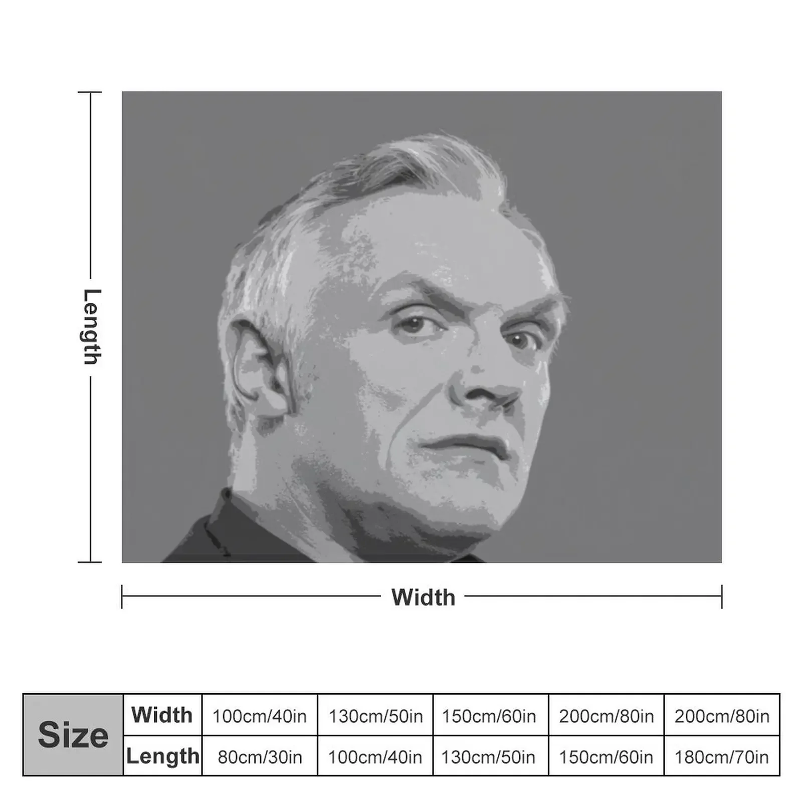 Greg Davies Pop Art Portrait Throw Blanket warm winter For Decorative Sofa Blankets