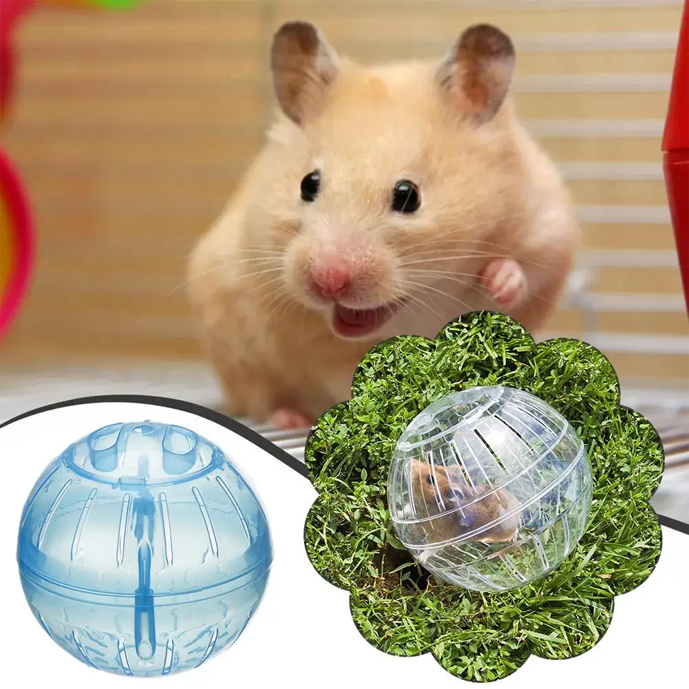 Thumbnail 3 - #8 Best Hamster Cages to Buy In 2026