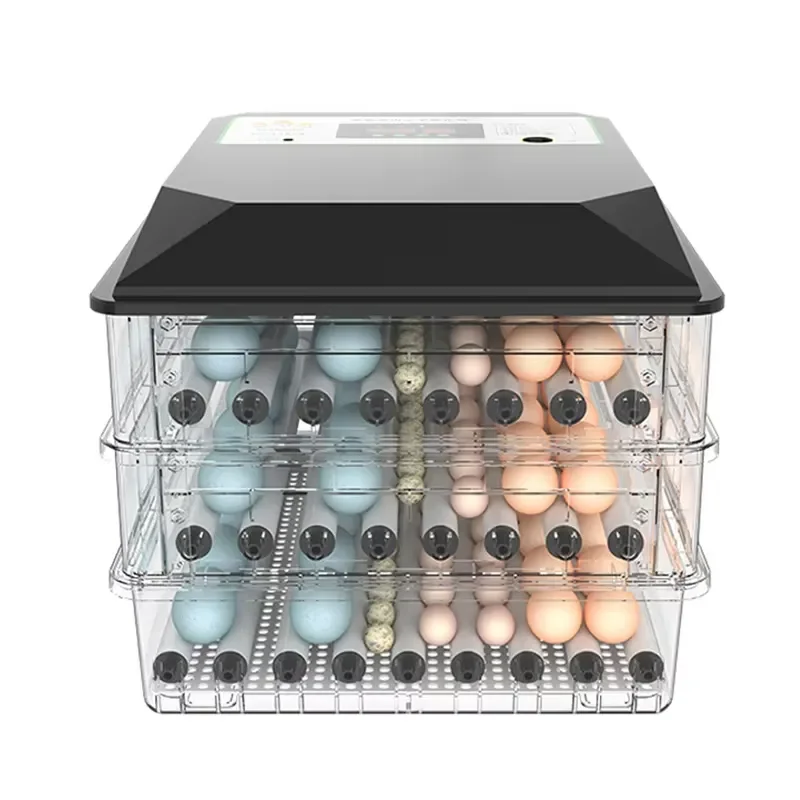 Automatic Egg Incubator for Quail and Broiler Chicken Hatching Machine Digital Temperature Control Poultry Hatchery Equipment