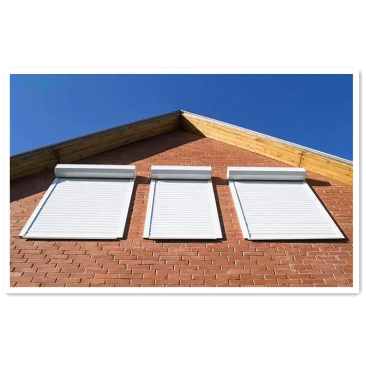 Skylight Automatic Window Security Shutters Internal and External Roof Roller Shield Shutters