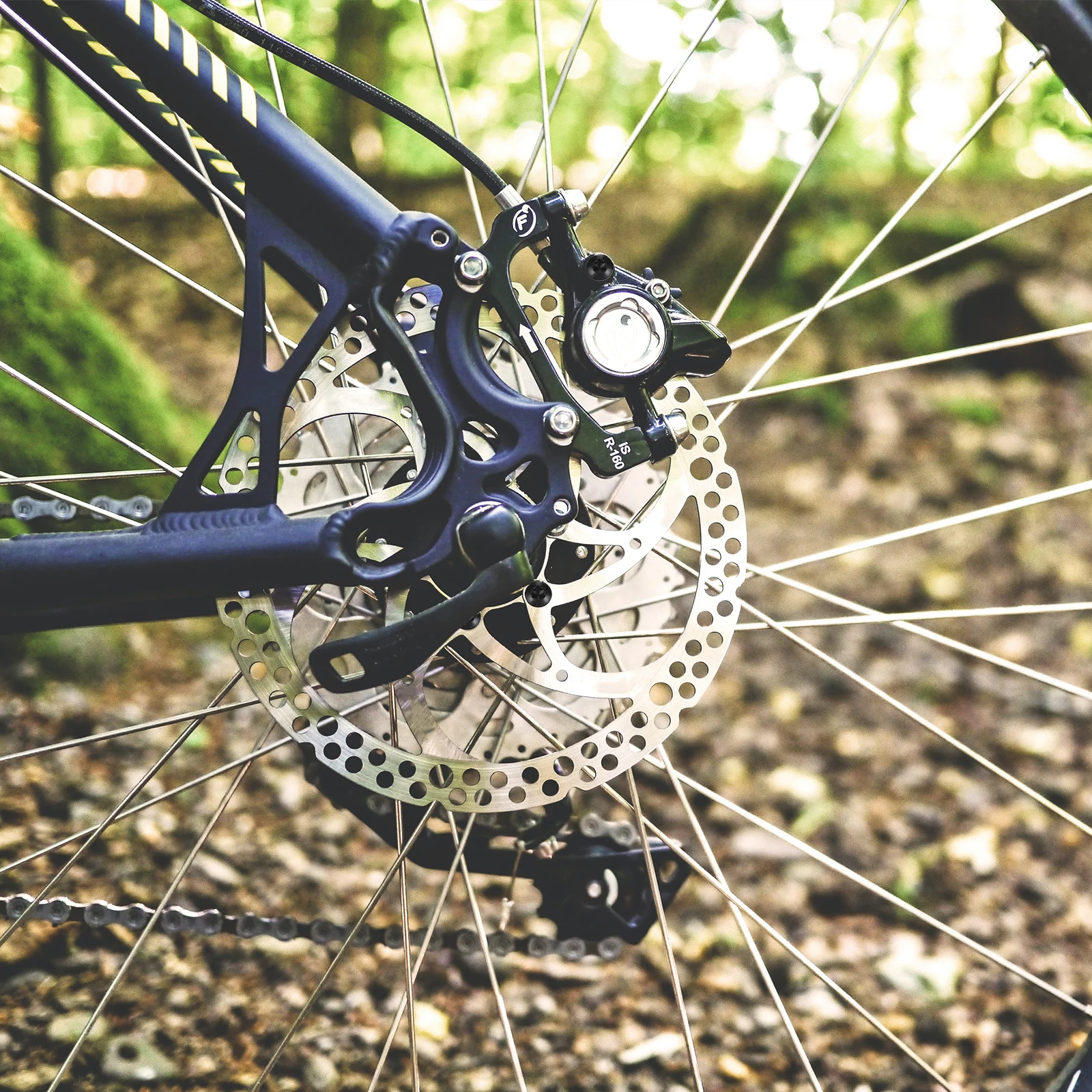 

12Pcs Bike Disc Rotor Bolts Durable Alloy Steel Color Paint Coating Fixing Screws Bike Disc Rotor Bolts