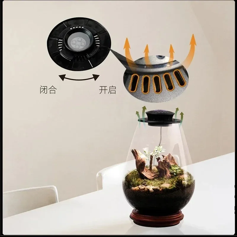 Timing Full Spectrum Plant Lamp Micro LandscapePlant Growth Lamp ShadePlant Grow LightGlass Flower Container MicroLandscape Lamp