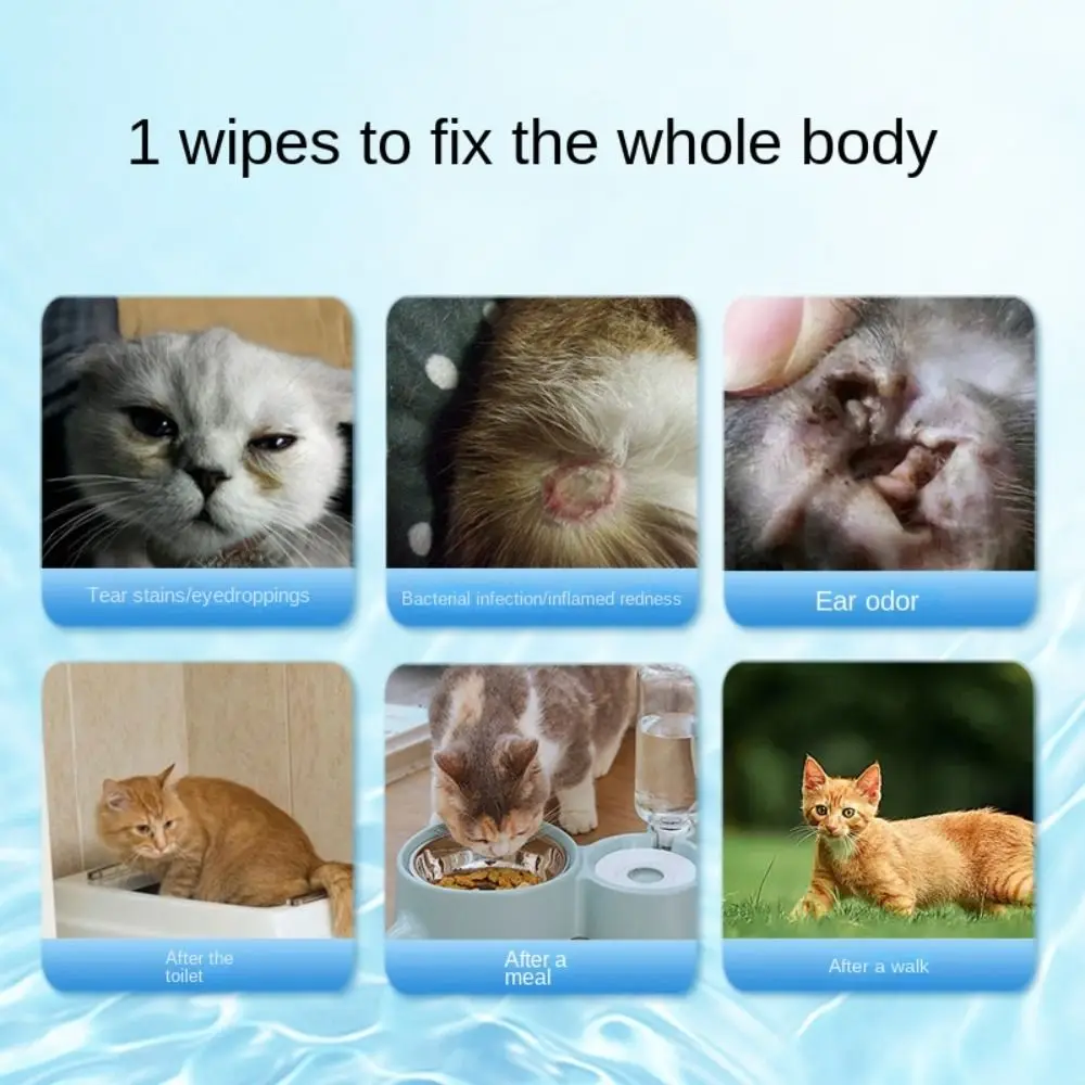 80Pcs/Pack Portable No-rinse Pet Wipes Tear Stain Removal For Wiping Pets Pet Eye and Ear Wipes Pet Supplies Dog Cat