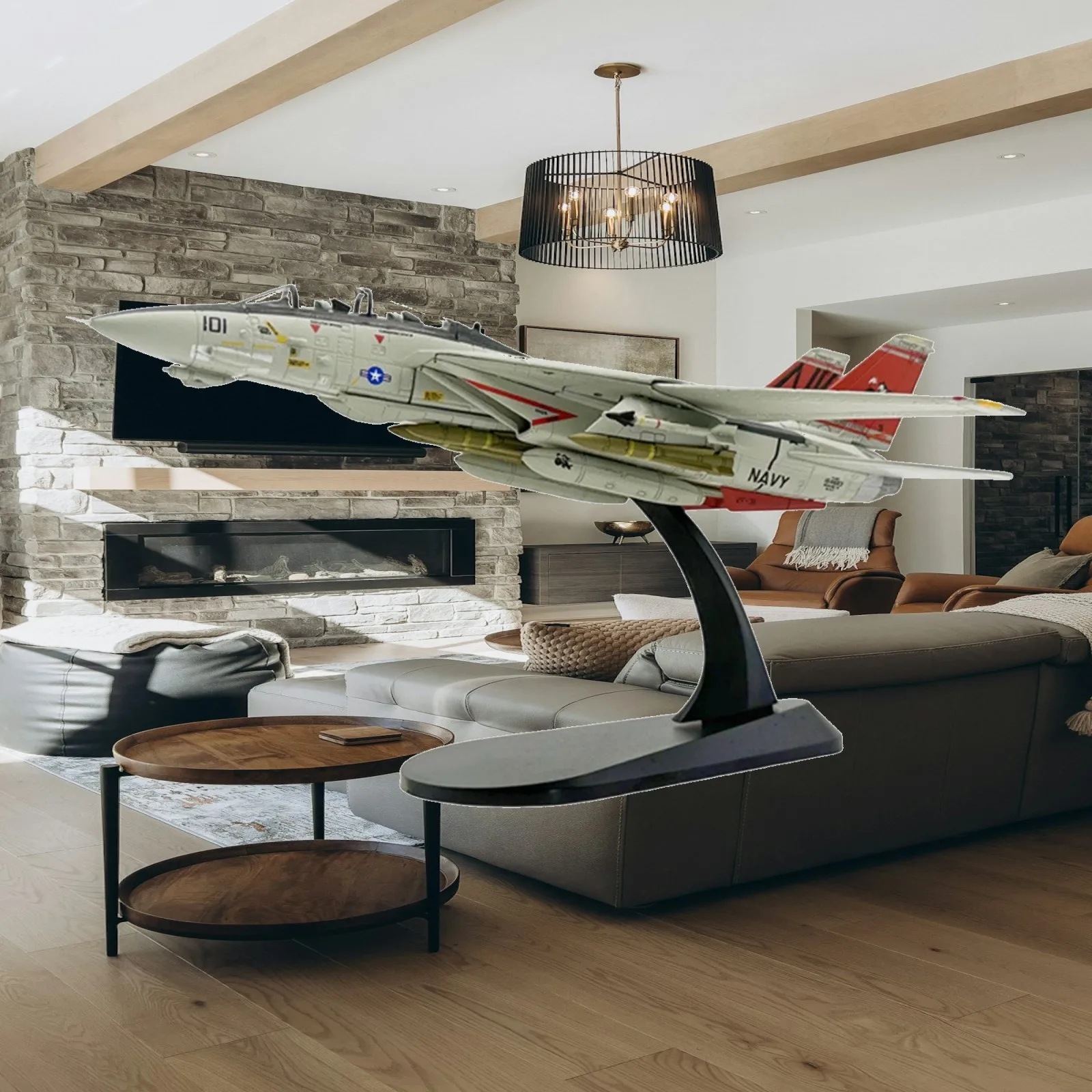 1:100 F-14D Model Professional 19x18cm Aeroplane Collection