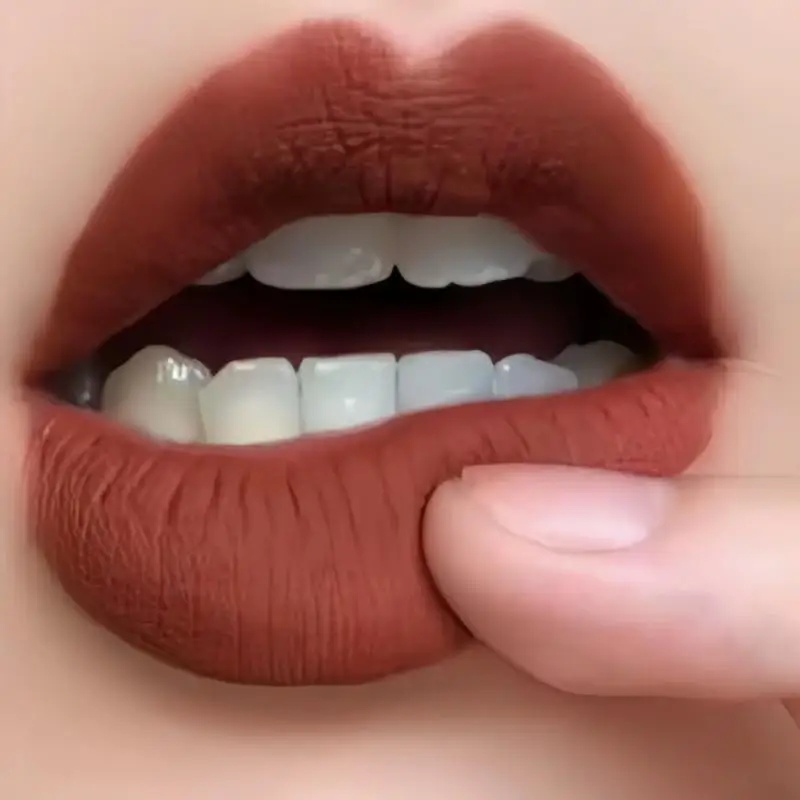 Matte Velvet Lip Gloss Lipstick Lip Mud Long Lasting Moisturizing Makeup For Gift Makeup Products Lip Care