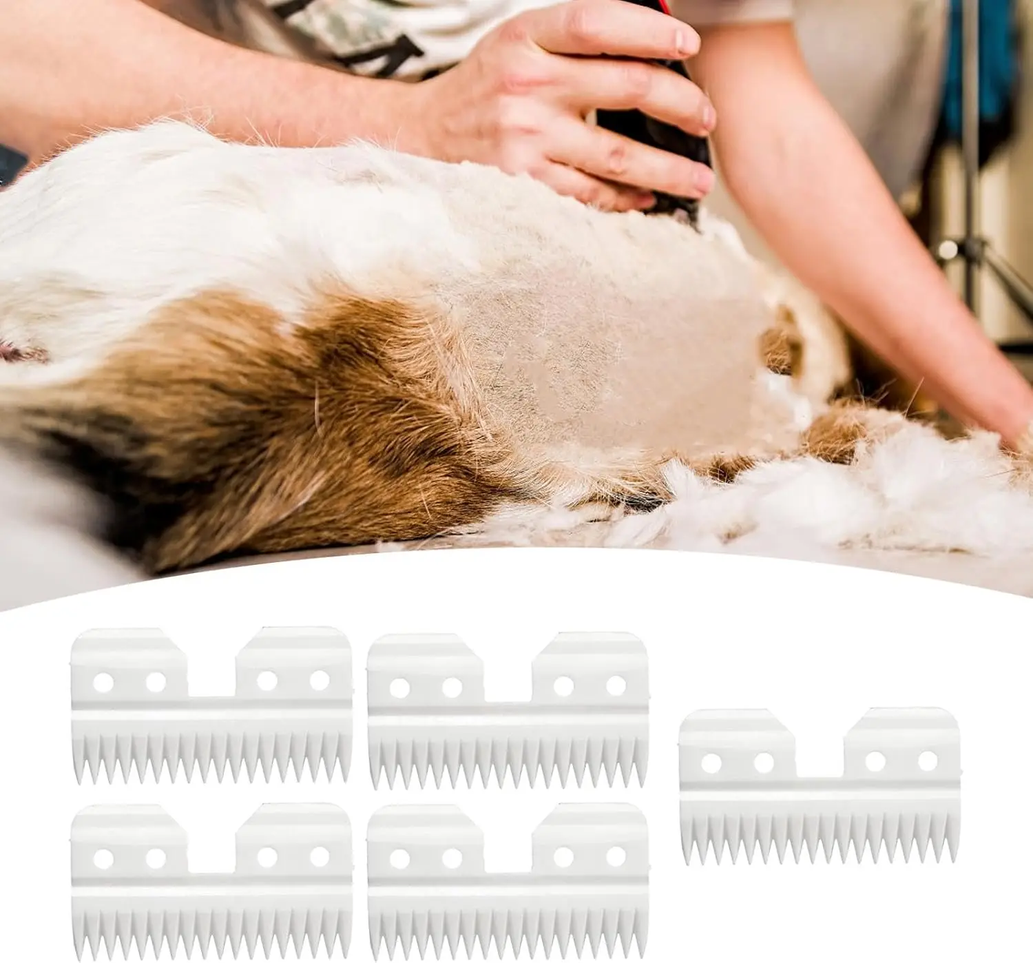 شفرات قلاب سيراميك لتغذية أوستر السريعة ، شفرات قلاب لتزيين الكلاب A5 ، wahlkm2 KM5 KM10 و Andis ، 18 أسنان