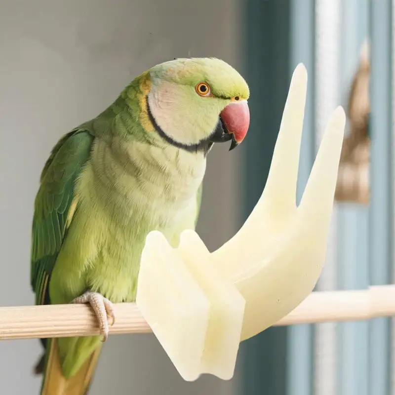 5/10Pcs Bird Feeder With Fruit Forks Plastic Food Rack Pet Bird Supplies Outdoor Window Mount Bird Feeding Station For Backyard
