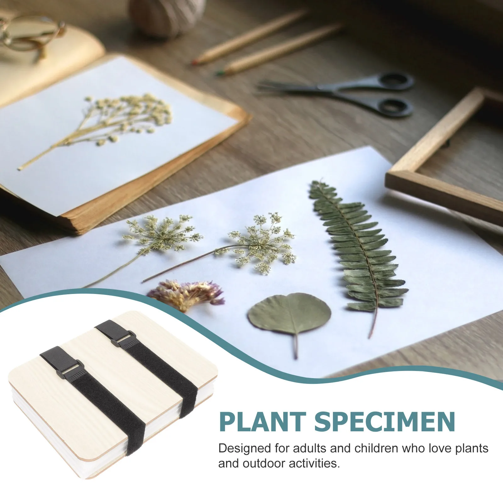 

Flower Press Kit with Nylon Mesh Drying Tool for Plants Specimen Collection Pressing Set for DIY Craft Art Preservation