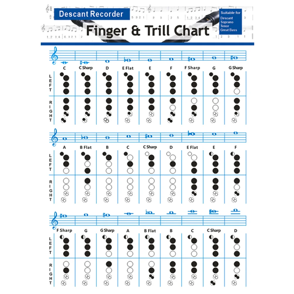 

Poster Guitars Chord Chart for Flute Beginner Instruments Clarinet Supplies Student