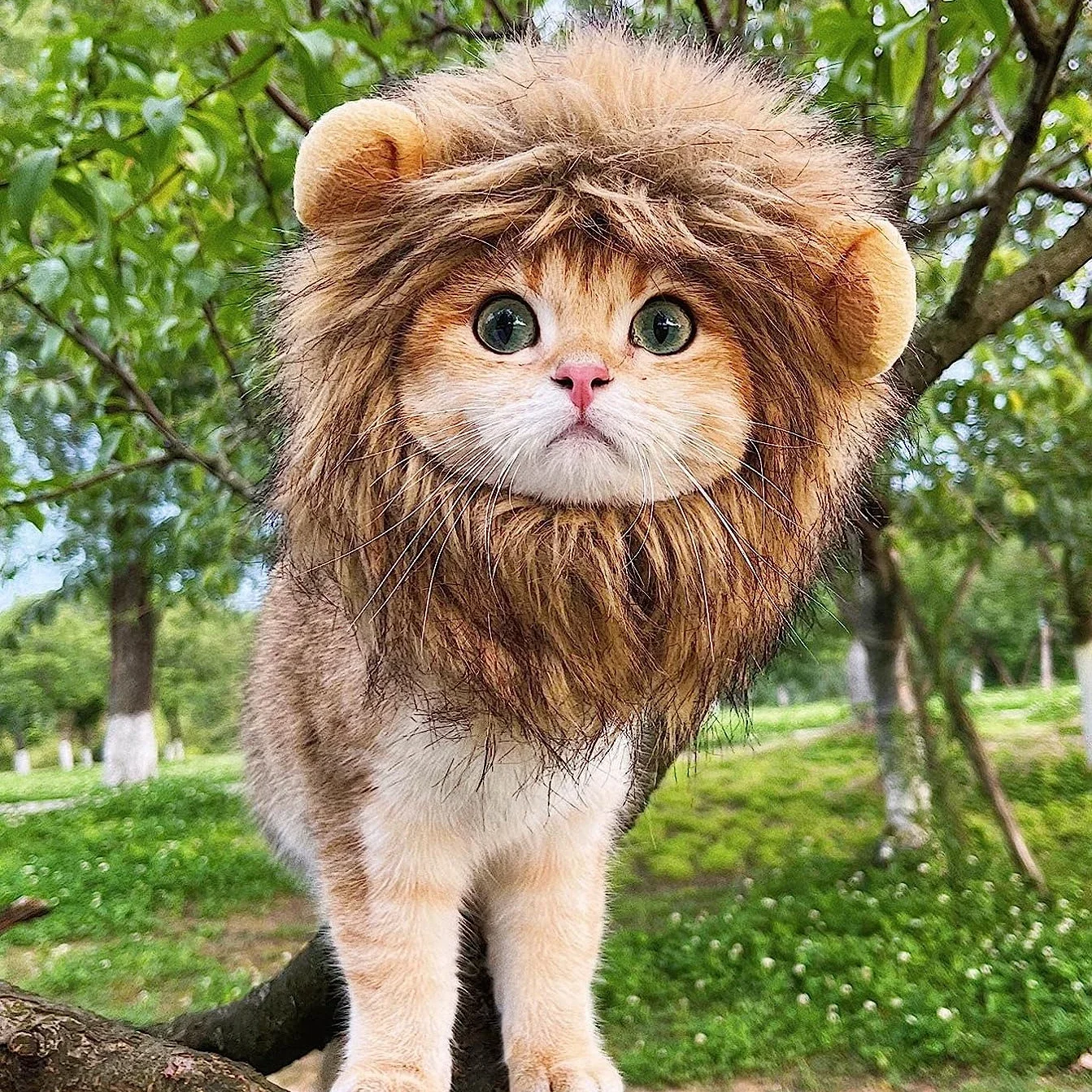 

Funny Pet Hat Lion Mane for Dogs Cat Cosplay Dress up Puppy Lion Wig Costume Party Decoration Halloween Christmas Pet Supplies