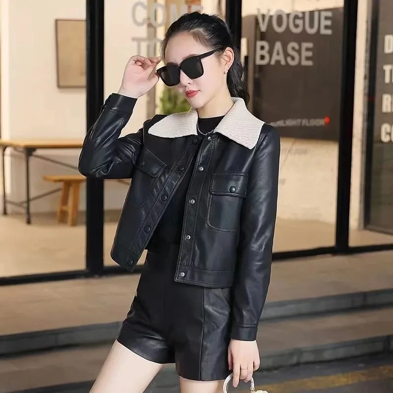 デザイナーレザージャケット ニット襟 レディースジャケット