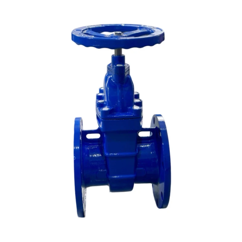 China Manual Power Factory DN50-DN150 Standard Soft Seal Gate Valve Manufacturer Direct Sales