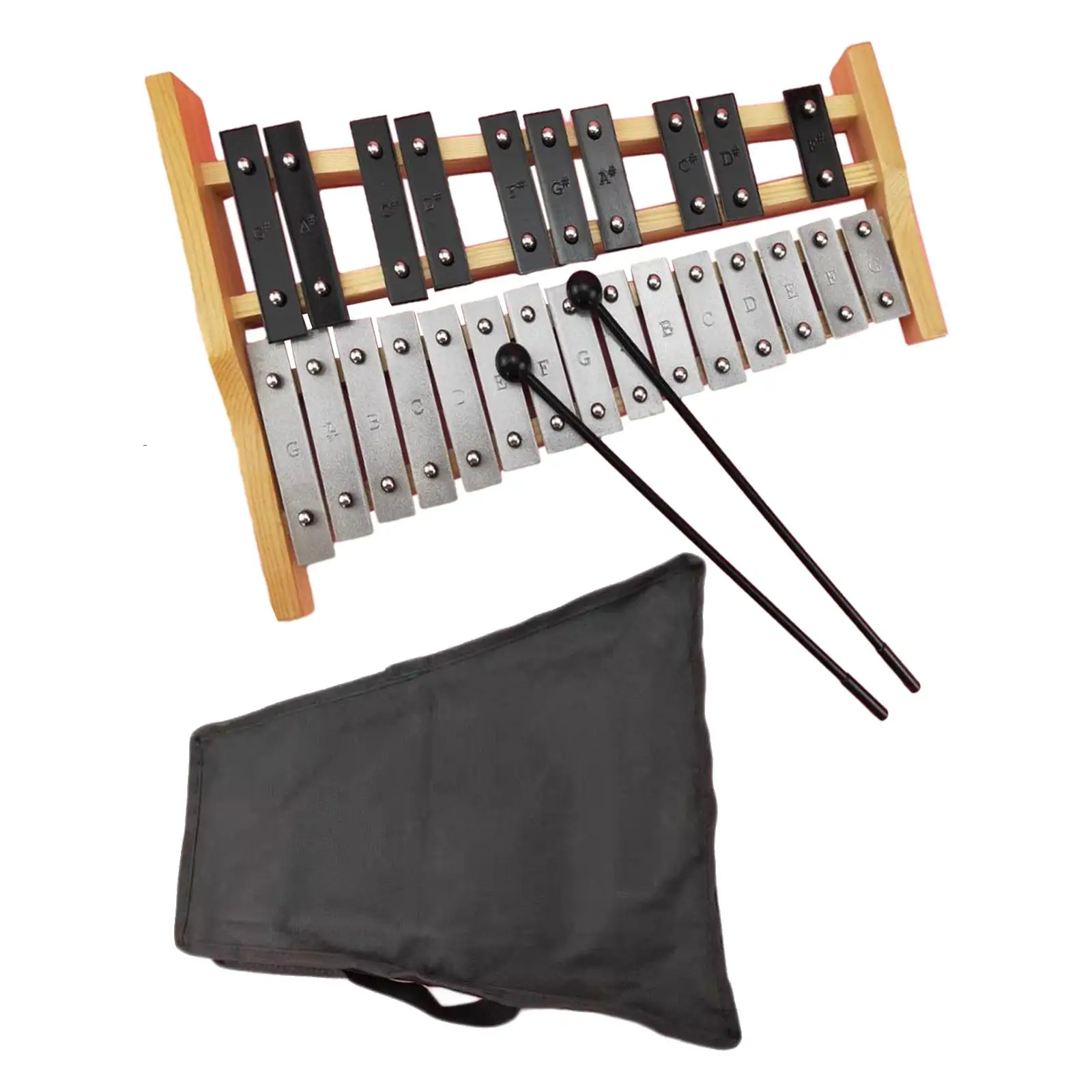 25 Note Metal Xylophone with Carrying Bag and Mallets Music Instrument for Band Beginner Kids and Adult Players Birthday Gift