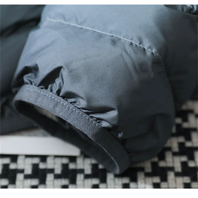 Automne hiver chaud col montant dégradé doudoune nouvelles femmes léger mince blanc canard vers le bas manteau dame courte bouffante Parkas vêtements d'extérieur