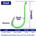 size 8