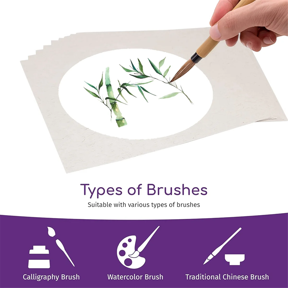 B12B-10-Sheets Soft… - image