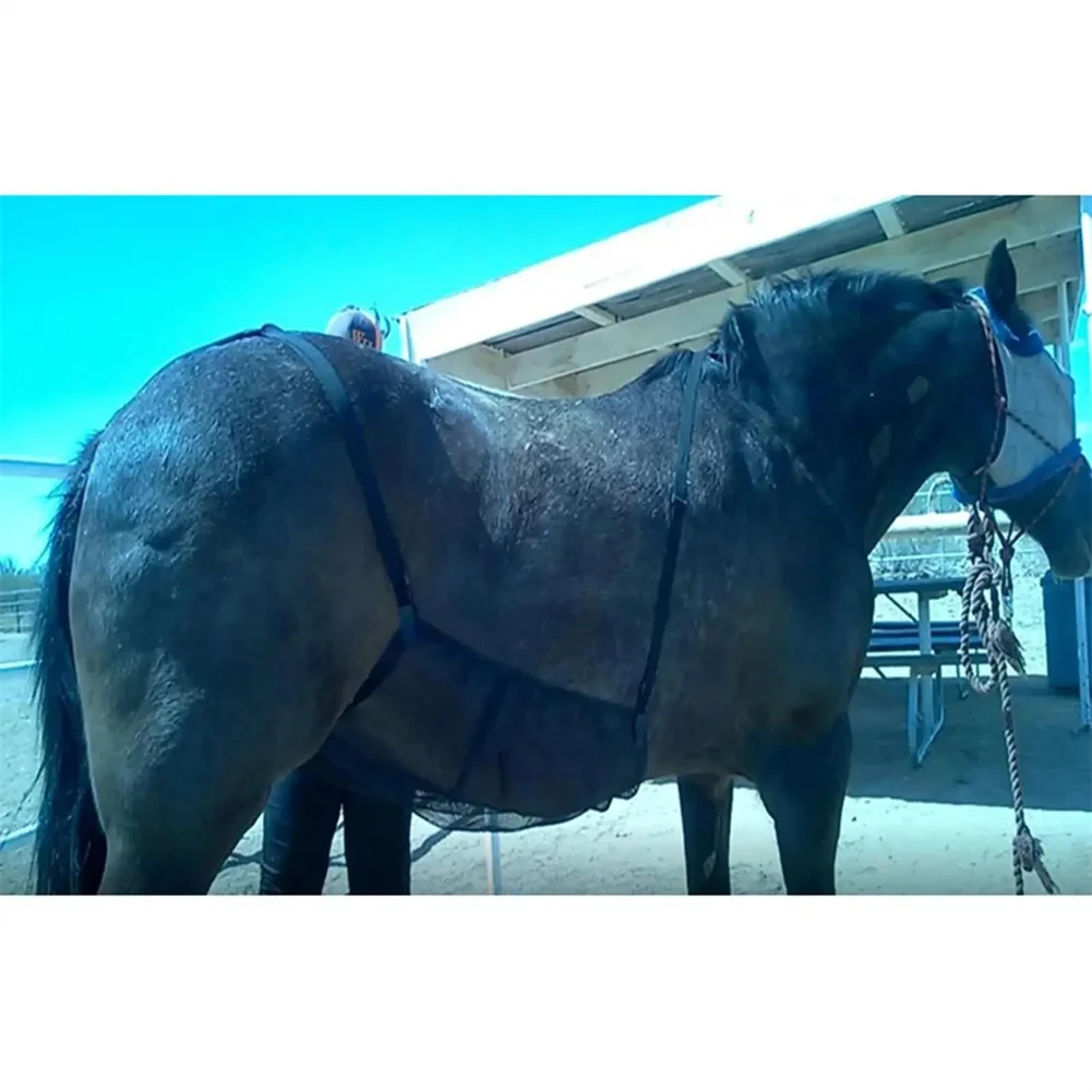 Protège-ventre en maille légère pour l'équitation, feuille de protection équine, respirant et stable, fournitures équestres