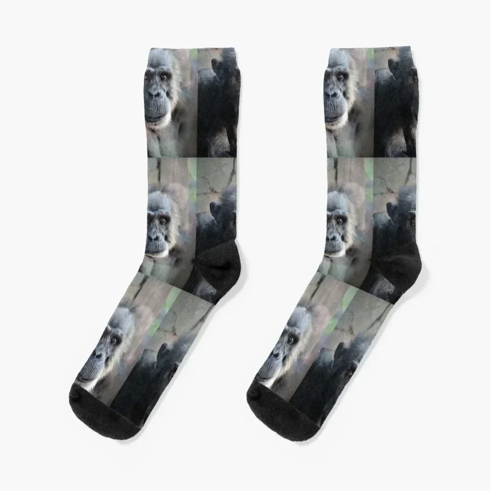 

Chimpanzee Socks football Children's man gift Socks Women Men's