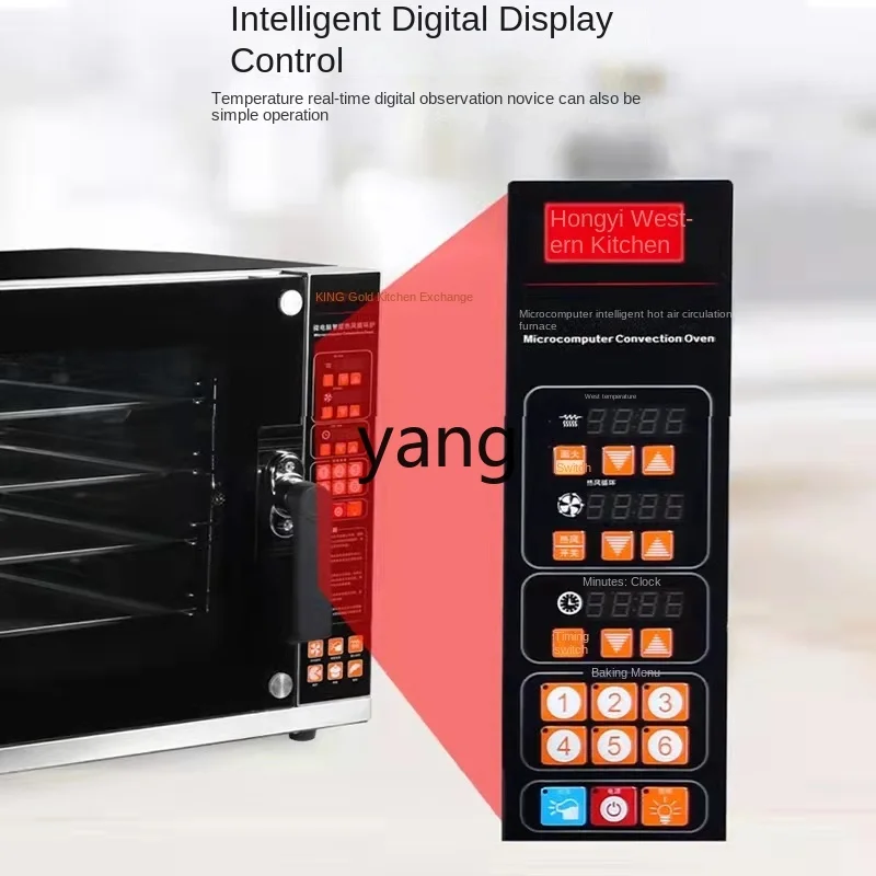 CX Commercial Hot Air Circulation Multifunctional Electric Oven Baking Pizza Egg Tart view 2