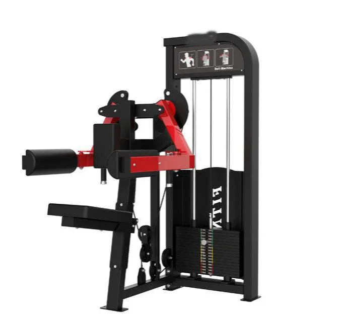 

Strength Training Commercial Gym Equipment Lateral Shoulder Raise Machine Pin Loaded Shoulder Press Lateral Raise Machine