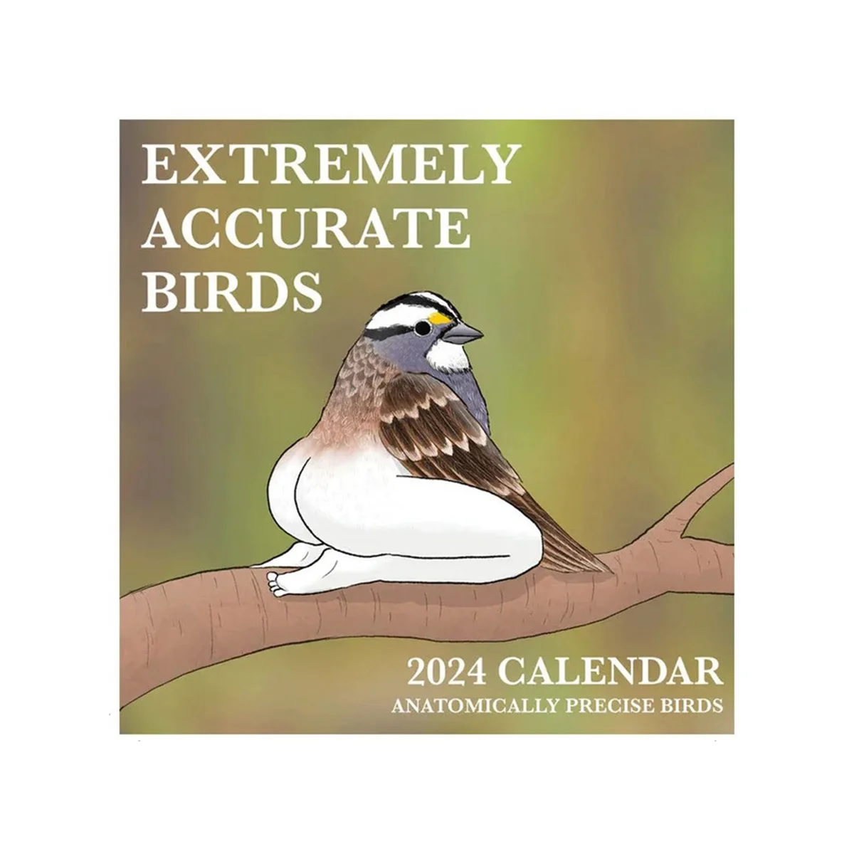 매우 정확한 새 2024 새 Calendar-21x21cm 달력, 2024