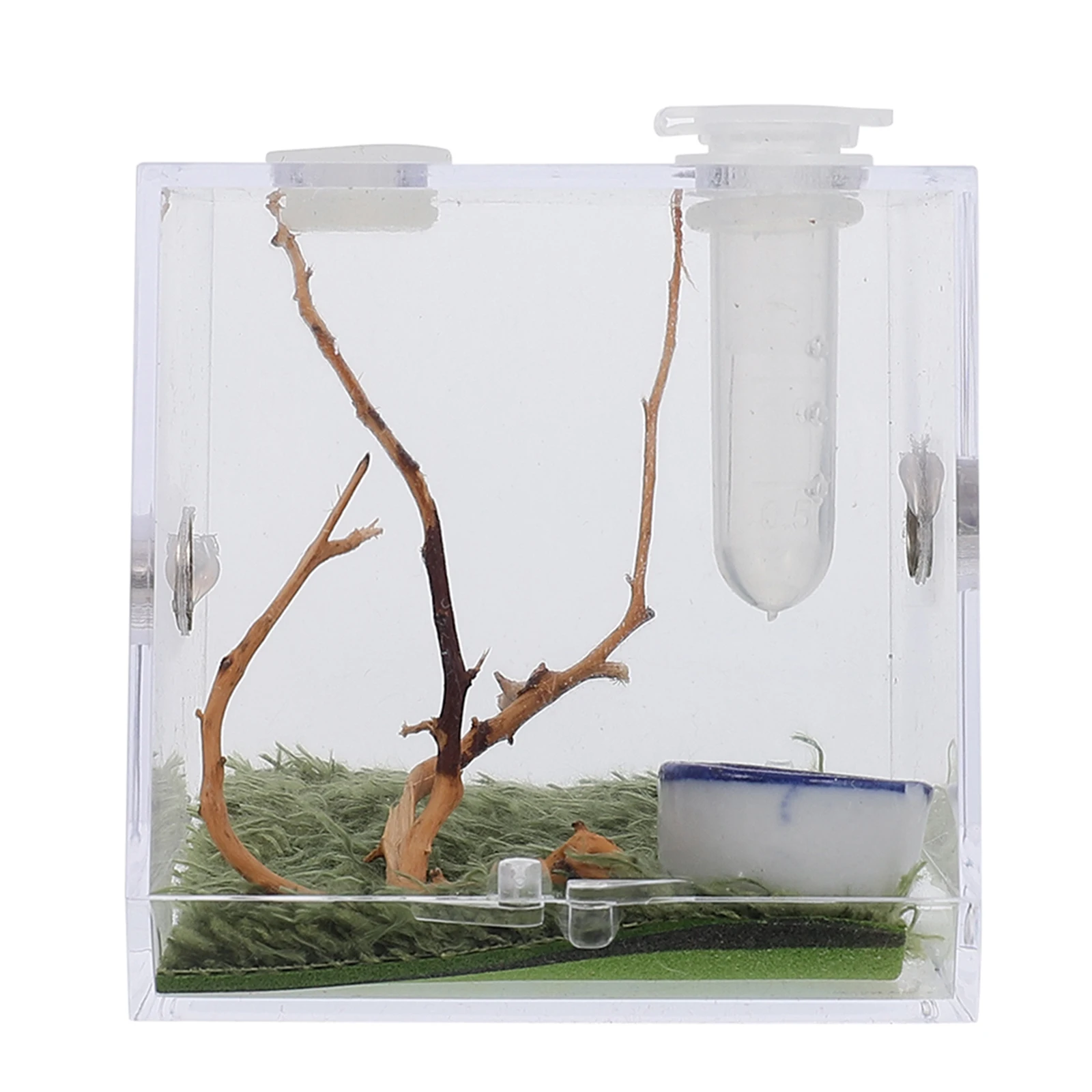 

Jumping Spider Breeding Box Mini Acrylic Terrarium Lightweight Clear Plastic Insect Habitat Portable Table Bookshelf Decoration