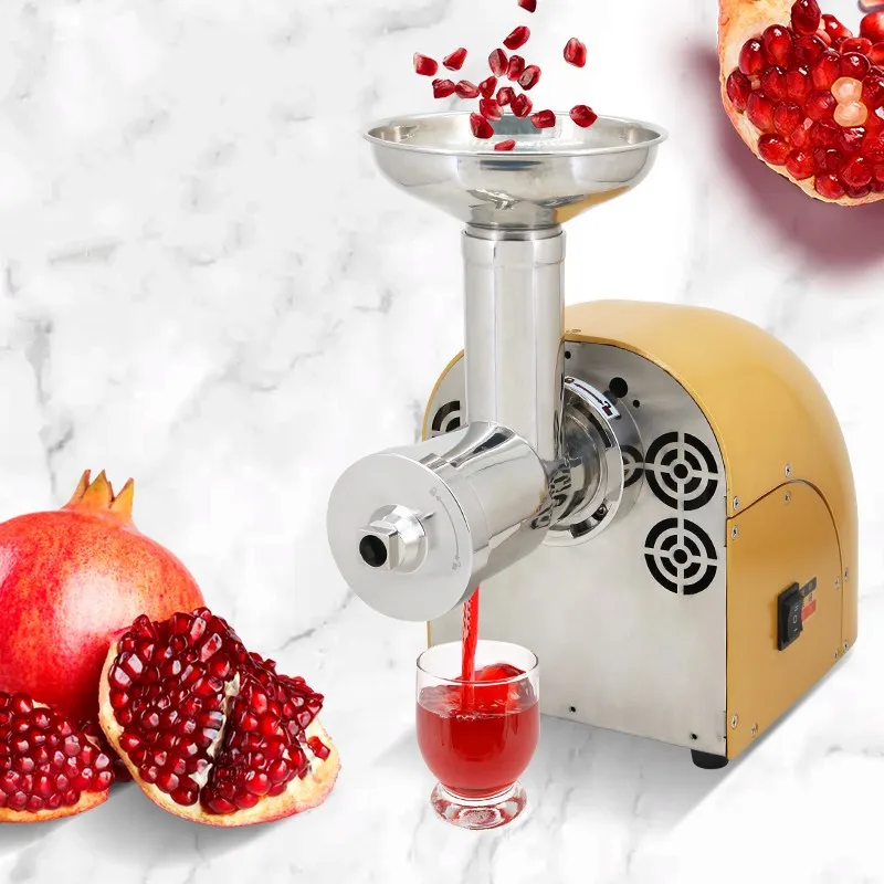 #￥304 Stainless Stee Slow Masticating Auger Juicer Fruit and Vegetable Low Speed Juice Extractor CompactCold Press JuicerMachine