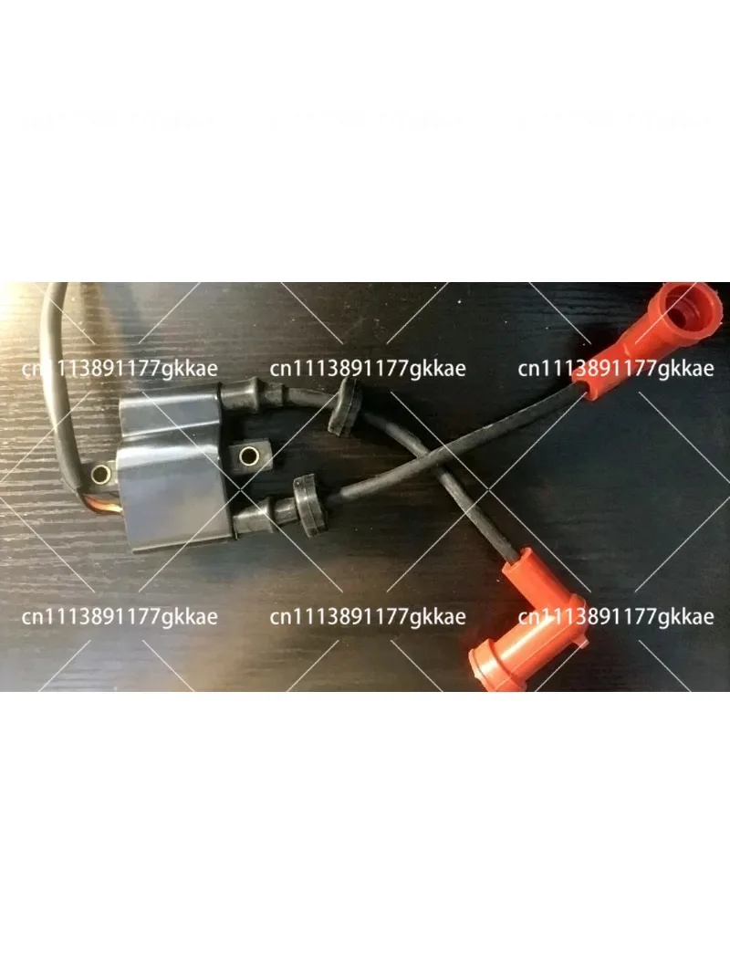 ignition coil for outboard motor Selva  ZONGSHEN  FOR 6/9.9/ 15/18/25/30  2 STROKE  universal