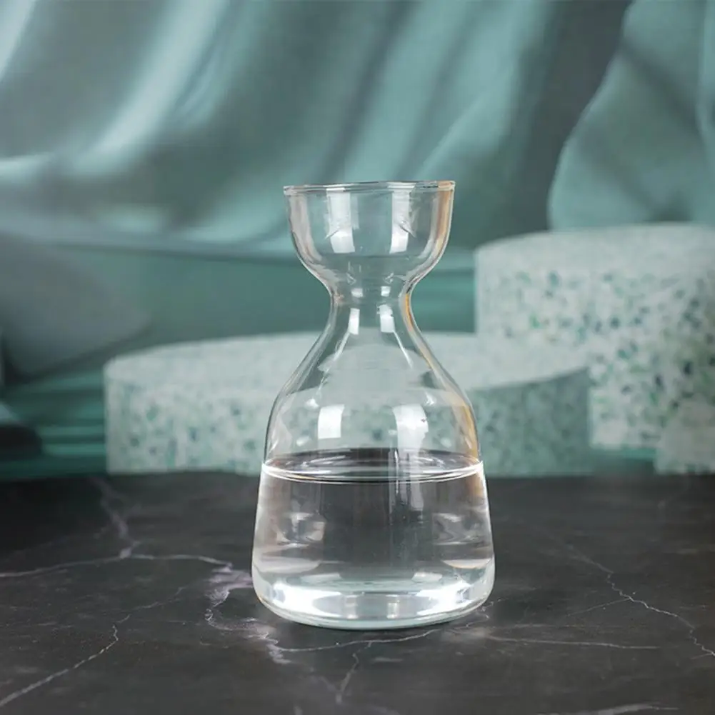 Plant Holder Unique Glass Vase Glass Hydroponic Vase for Plant Propagation Avocado Bulb Growing Container Artistic for Home