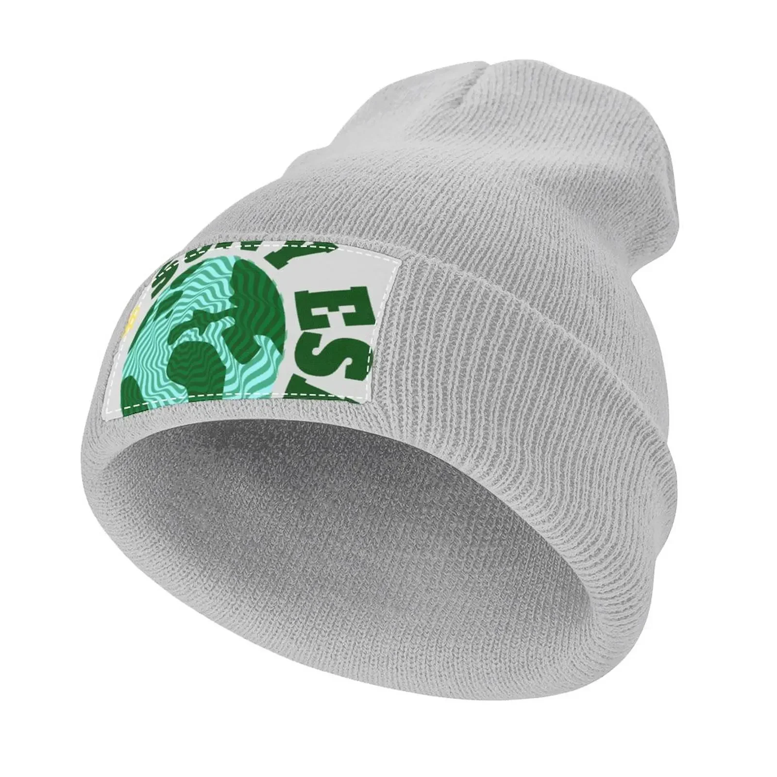 

I 3 SUNY ESF Knitted Hat Snap Back Hat Golf Hat Man Luxury Kids Men Women's