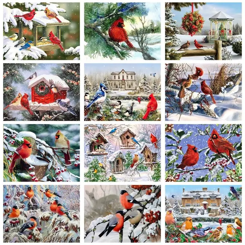 

CHENISTORY Paint By Number Winter Bird Drawing On Canvas HandPainted Painting Art Gift DIY Pictures By Number Kits Home Decorati