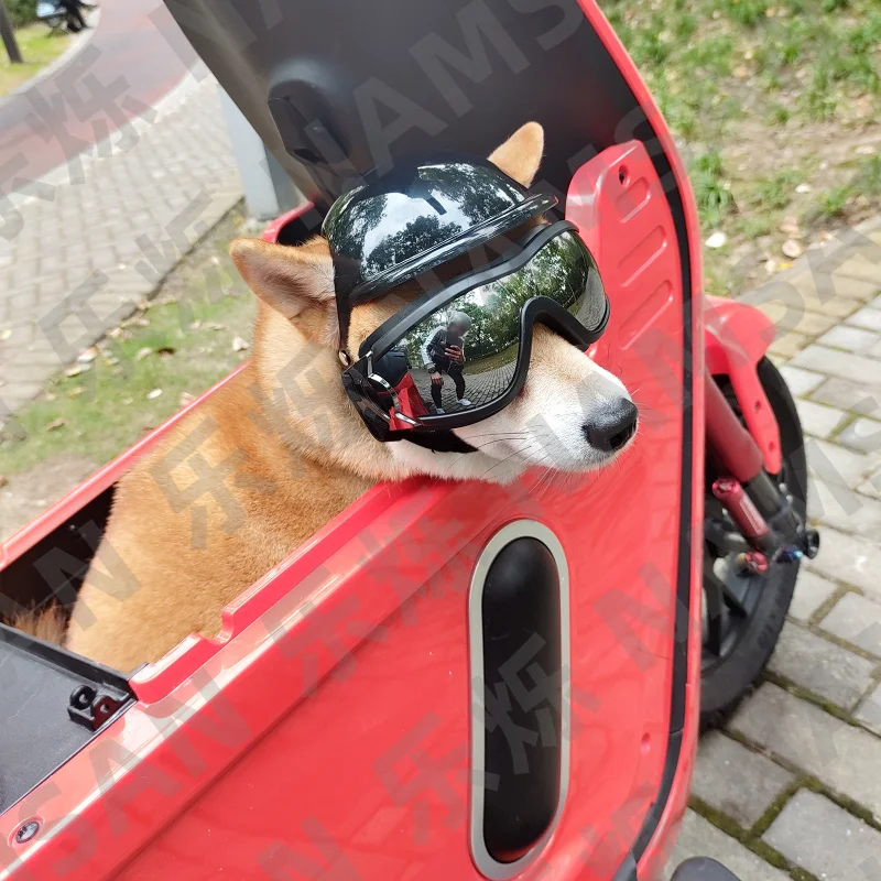 The product can be customized.Pet helmet pet glasses with hat dog cat motorcycle safety helmet hat accessories hat headdress