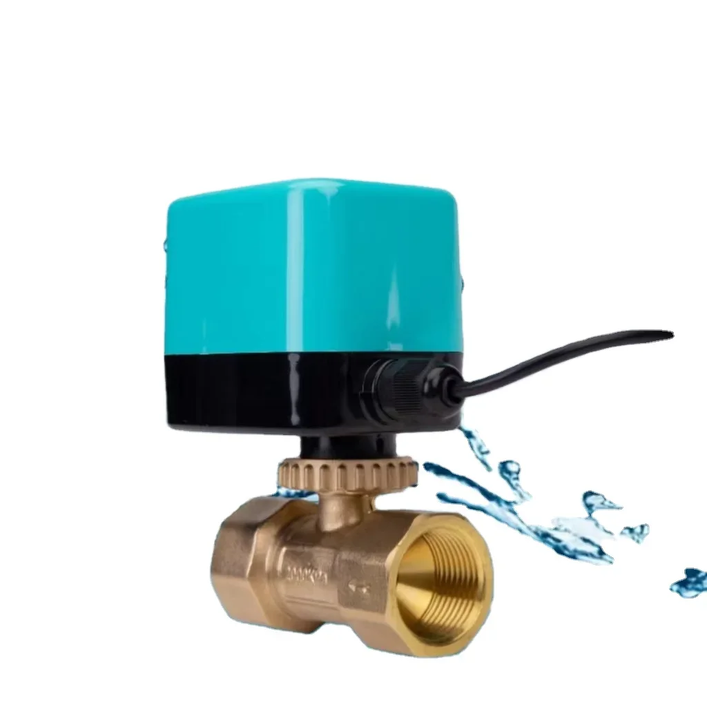 Popular Custom Brass 2-Way Micro Electric Irrigation Ball Valve 9V 24VDC 1/2in 2in Sizes 12V Control Angle Water Designed TOYI