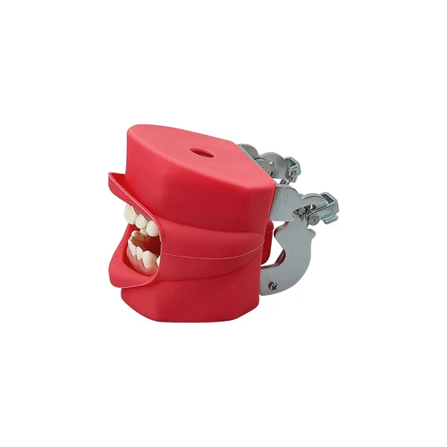 Imagen 2 del producto Modelo de dientes dentales, práctica de mandíbula, modelo de cabeza tipodont, simulación de entrenamiento, práctica fantasma, soporte de máscara de silicona, decoración, estudio, enseñanza