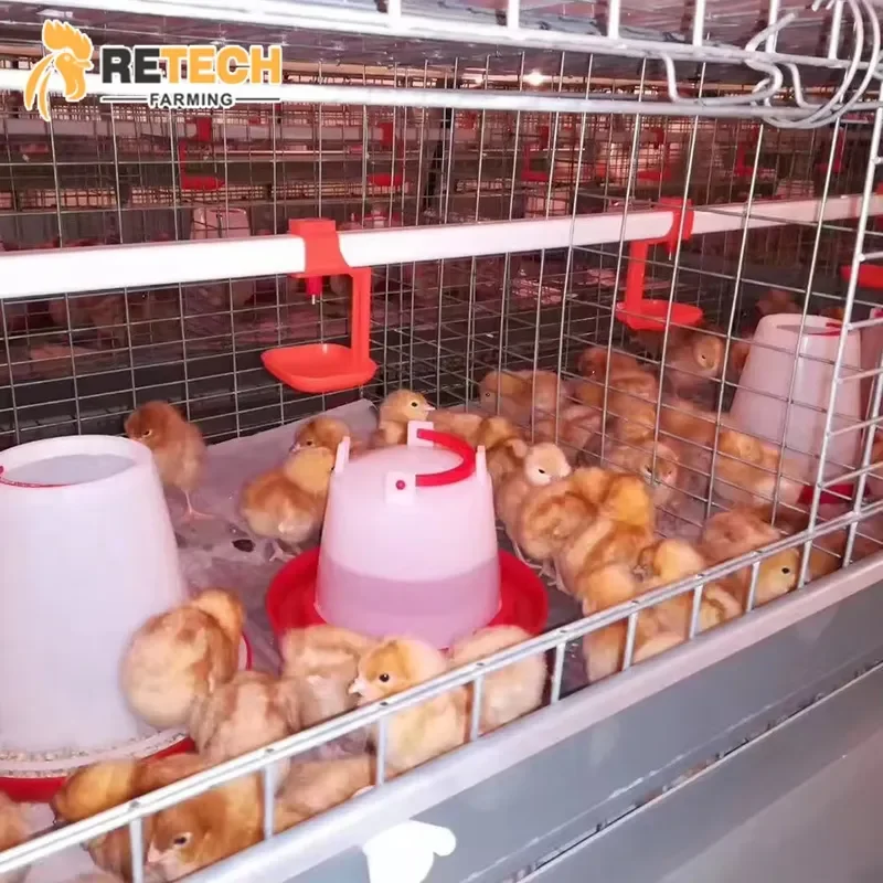 3/4 Tiers Layer Breeding Pullet Chicken Cage Equipment with Feeding and Drinking System for Poultry Farm