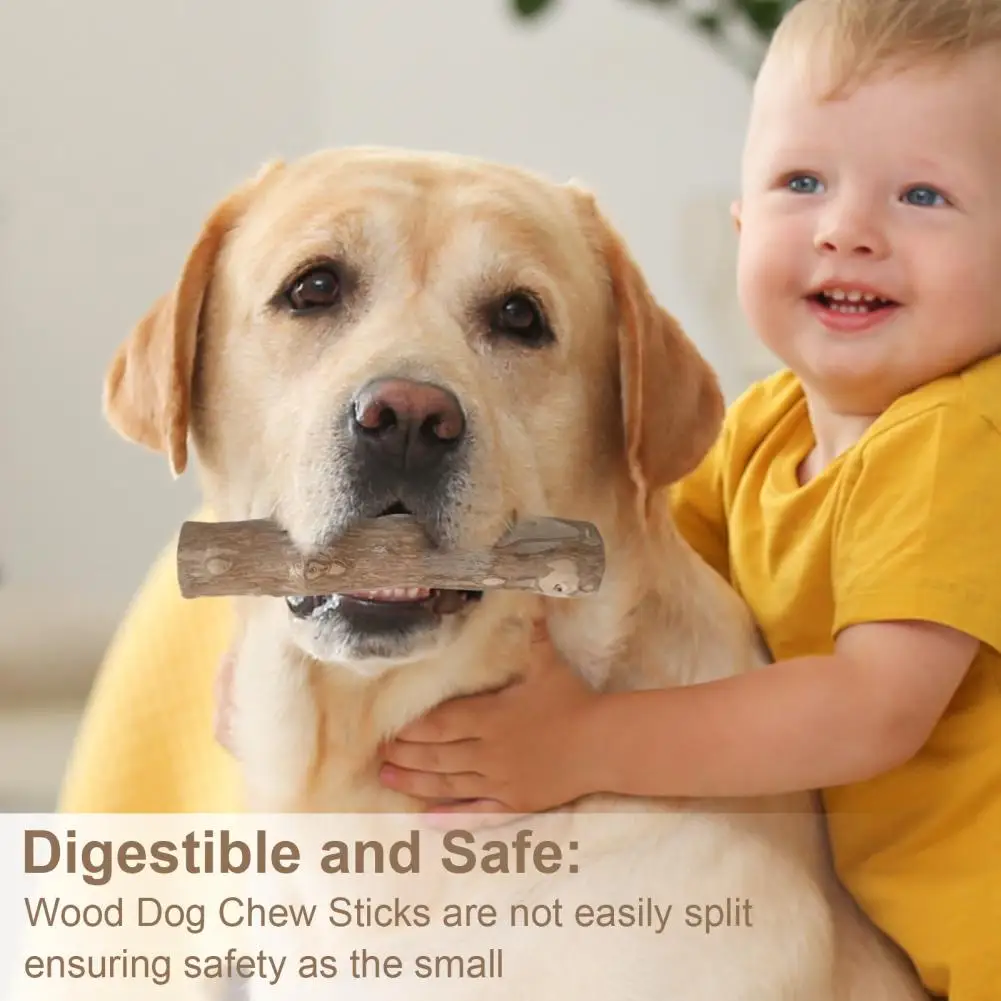 Wood Dog Chew Stick Natural Wooden Bones Dog Teeth Cleaning Toy Dental Health Care Stick Pet Chews for Dogs