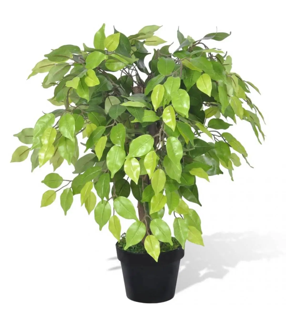 Artificial Flora artificial potted ficus dwarf plant, 60 cm