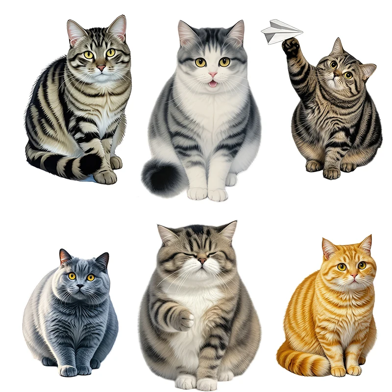 Three Ratels CG108 lovely cat animal wall stickers for home decoration car body decals